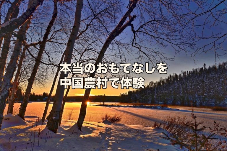 最高のおもてなしとは何か 日本人が失ってはいけない利他の心